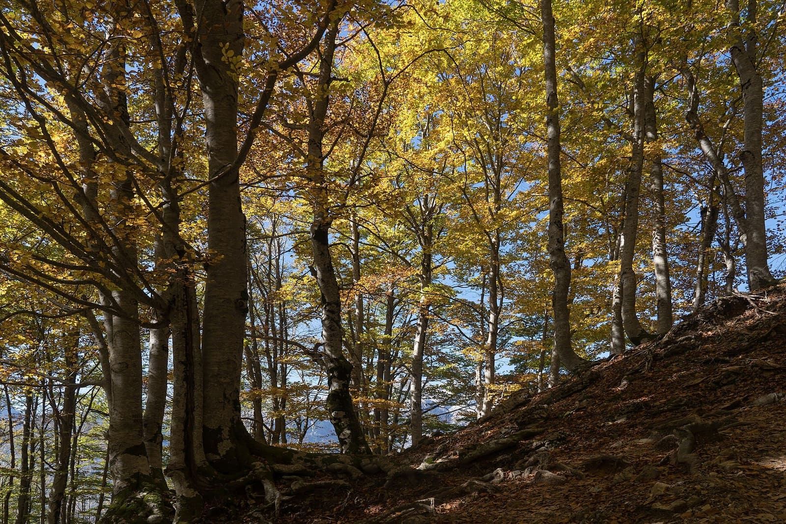 Why Autumn Is the Best Time to See the Albanian Alps