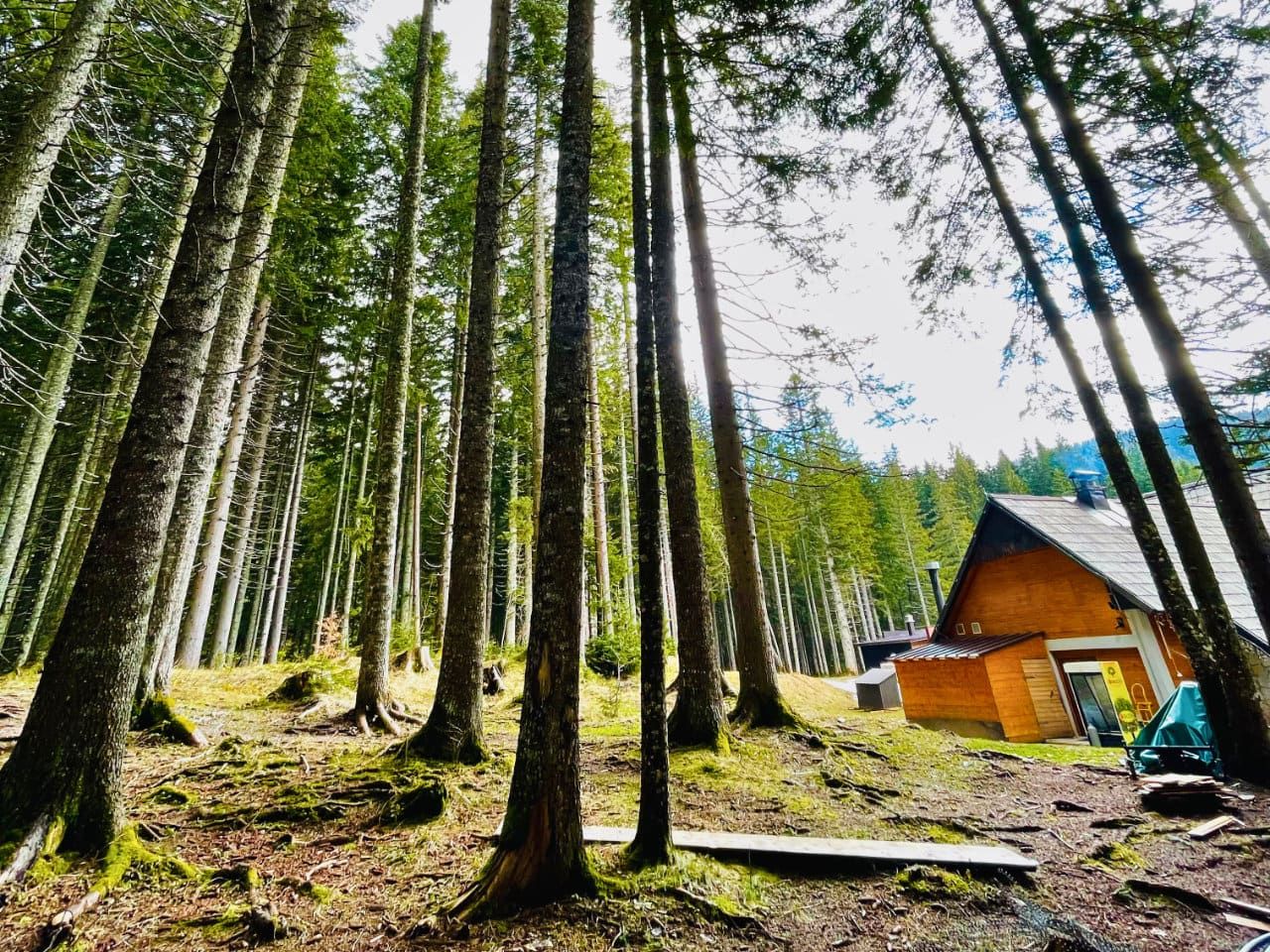 Black lake durmitor park