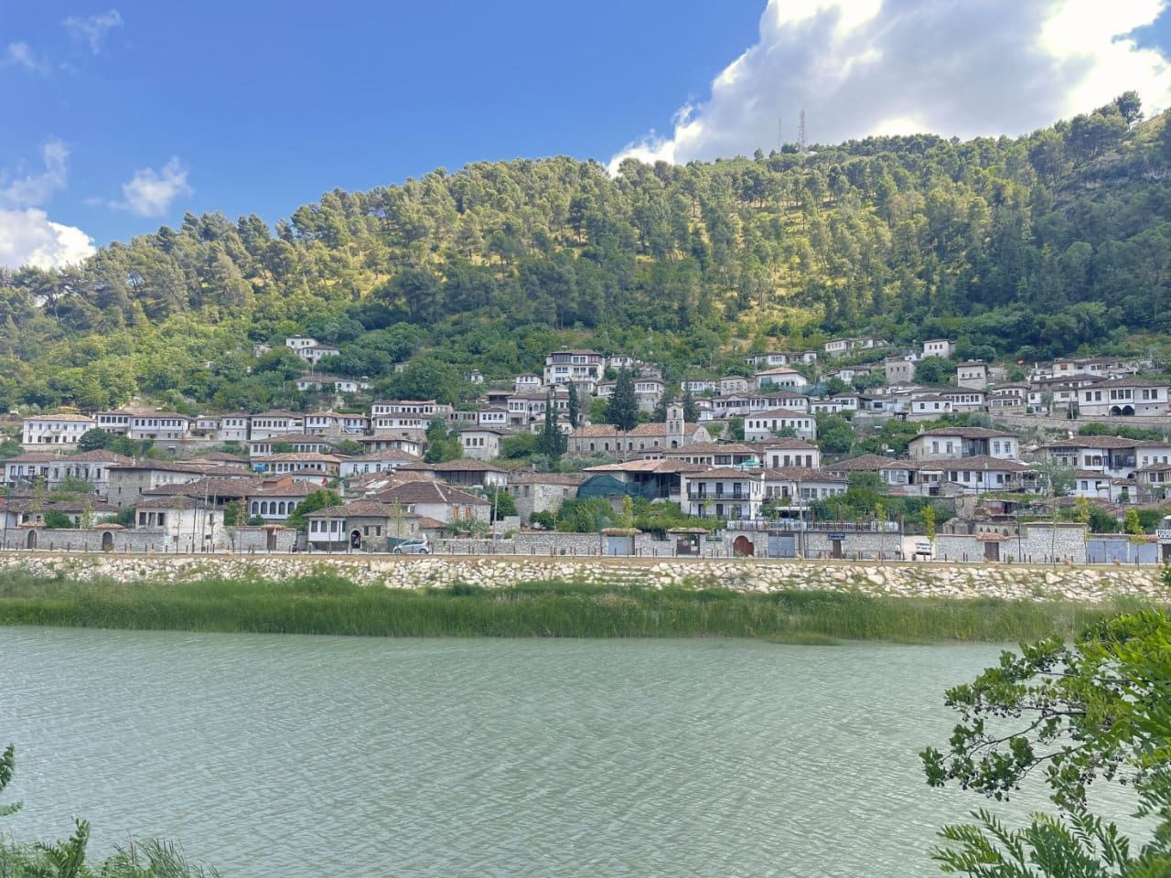 Gorica berat