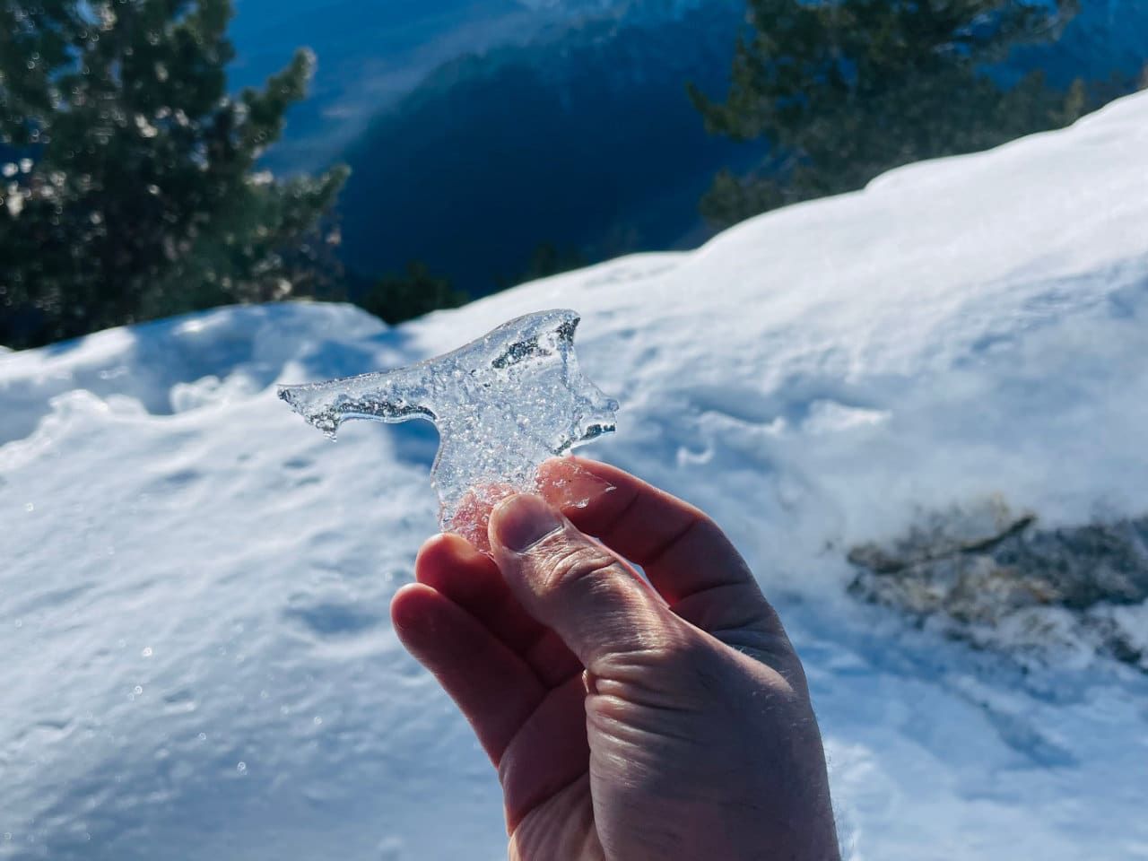 Ice albanian apls